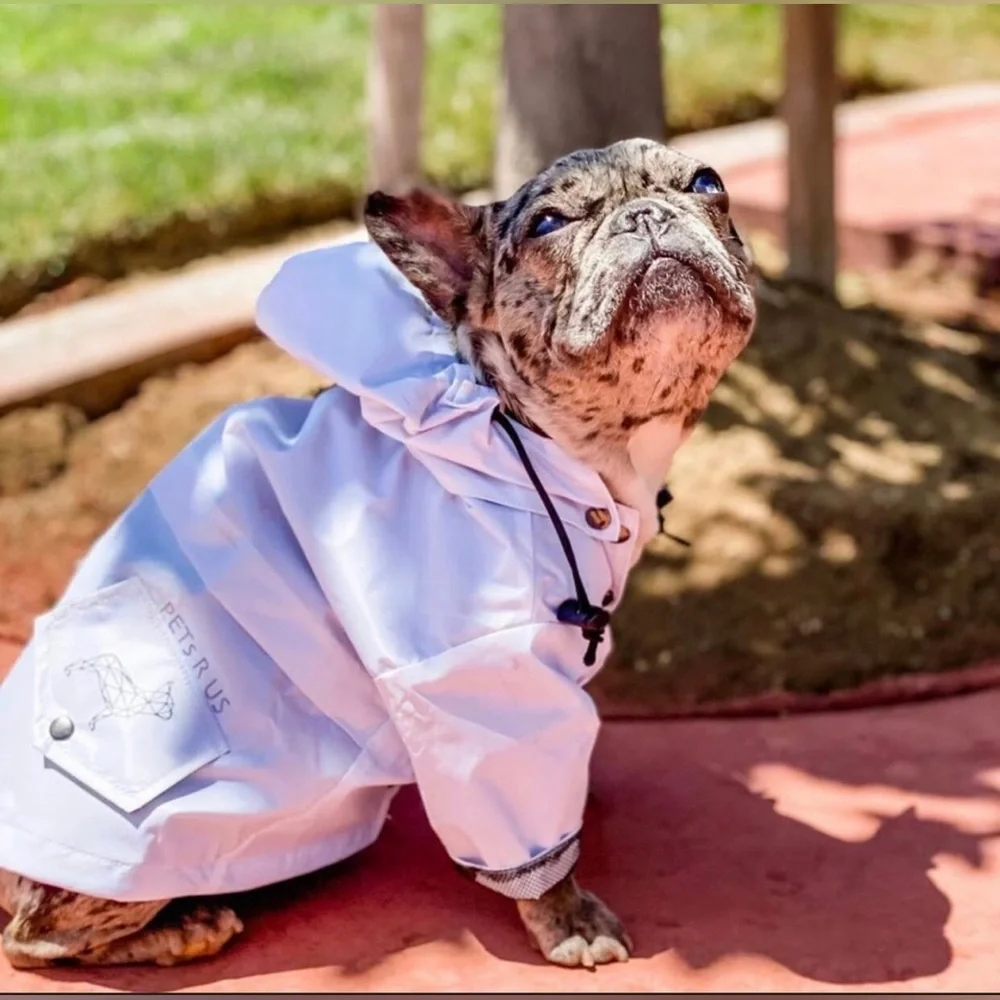 PETsRUS Premium Raincoat Dog Waterproof Windproof Stylish Coat Adjustable Fall